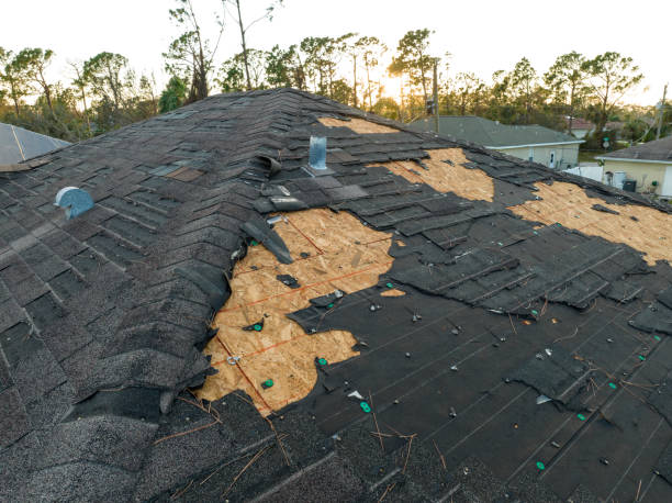 Best Solar Panel Roofing Installation  in Winters, CA